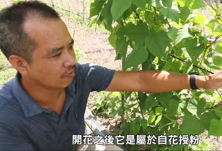 智農天氣探長 – 翼豆達人