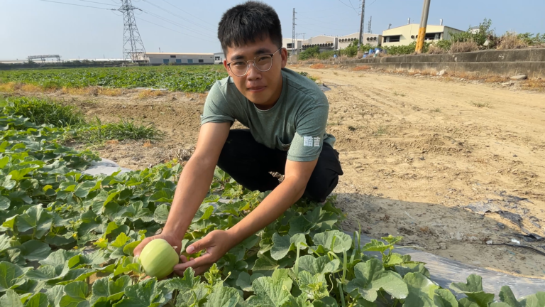 Okayama melon